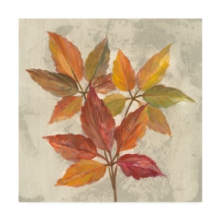 Silvia Vassileva 'November Leaves I' Canvas Art,24x24